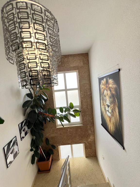 Fotografie z fotogalerie ubytování Apartments Edona v destinaci Ulcinj