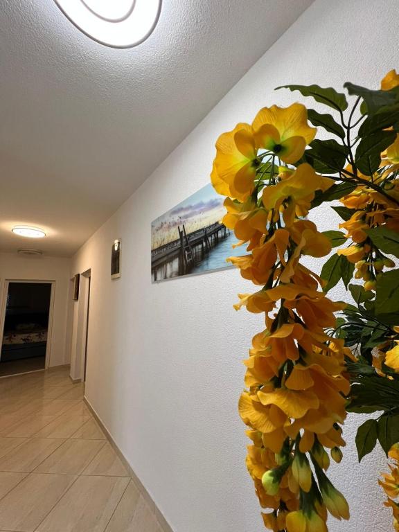 Fotografie z fotogalerie ubytování Apartments Edona v destinaci Ulcinj