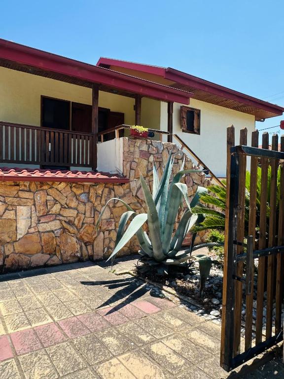 a cactus in front of a house with a fence at villa katerina in Iraklitsa