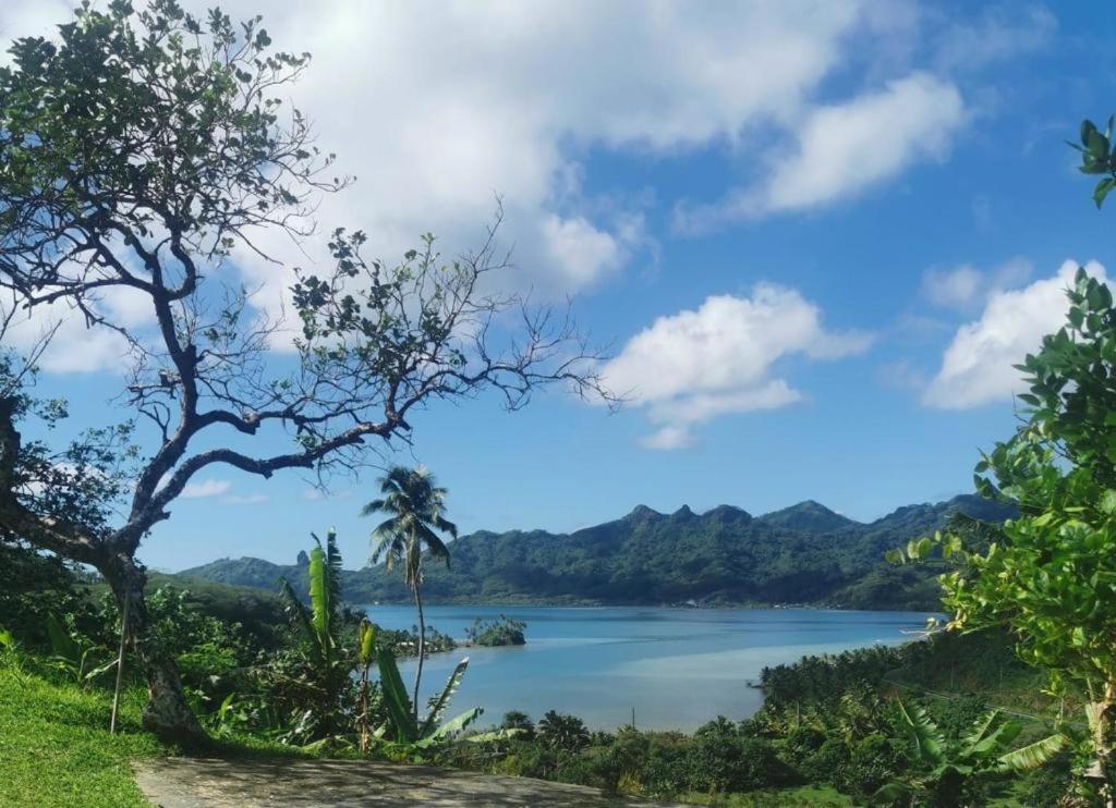 Bungalow Belle Vue - photo 3 - Huahine, Polynésie