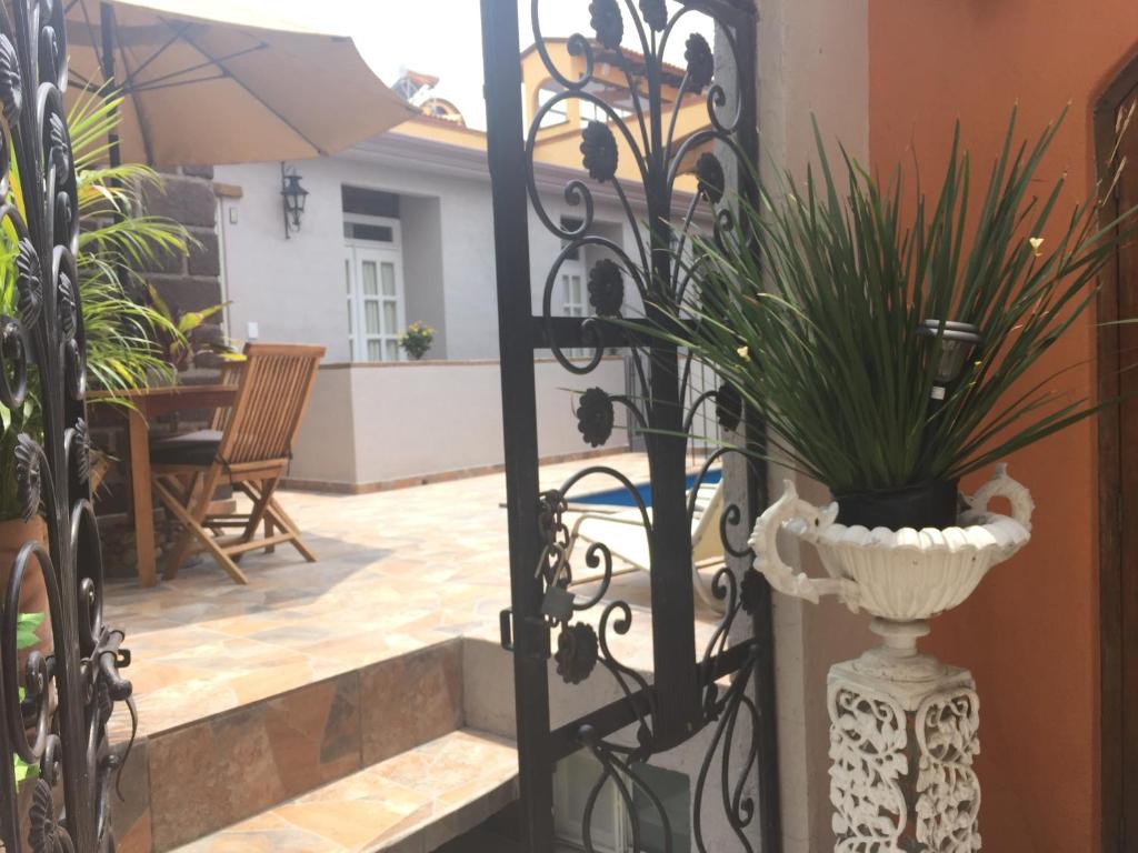 a wrought iron gate with a vase with a plant in it at Suites colibri in San Miguel de Allende