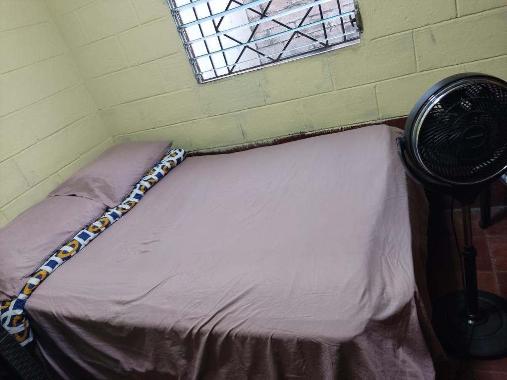 Ένα ή περισσότερα κρεβάτια σε δωμάτιο στο Kame-House Backpackers