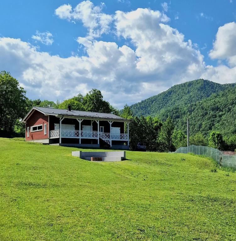 a house in the middle of a grass field at Casa Nordica in Poiana Uzului
