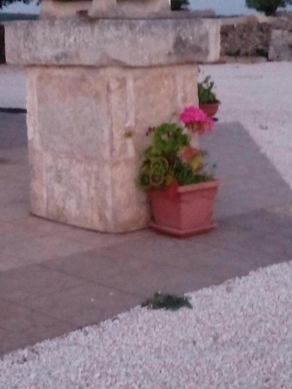 Kép Trulli Sarmenzanello szállásáról Nociban a galériában