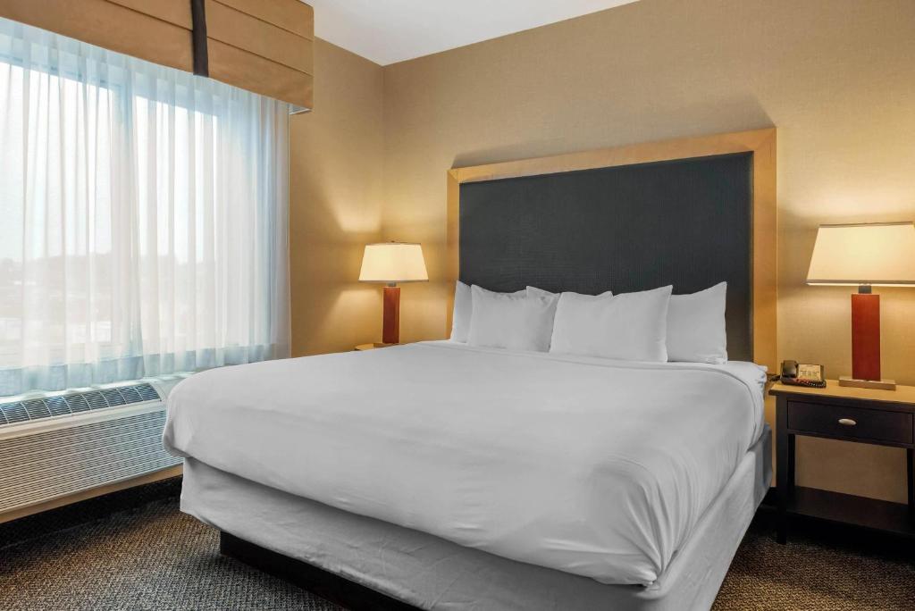 Cambria Hotel Akron - Canton Airport - Suite Lit King-Size Avec Canapé-Lit - Non-Fumeurs
