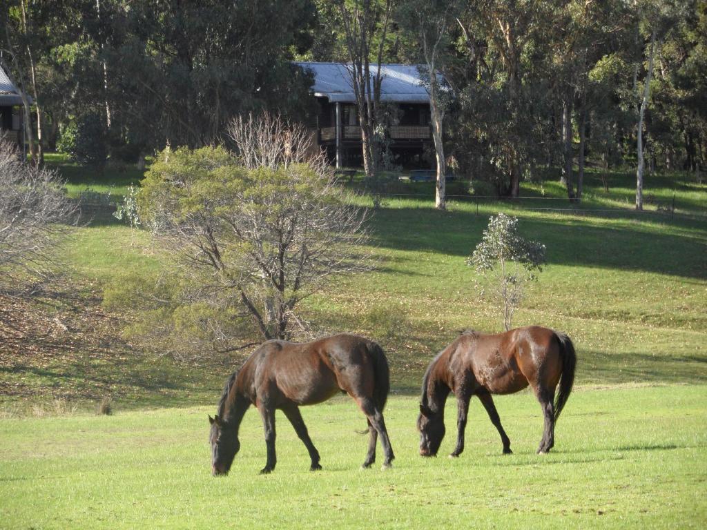 Balinga Cottages - Two-Bedroom Cottage