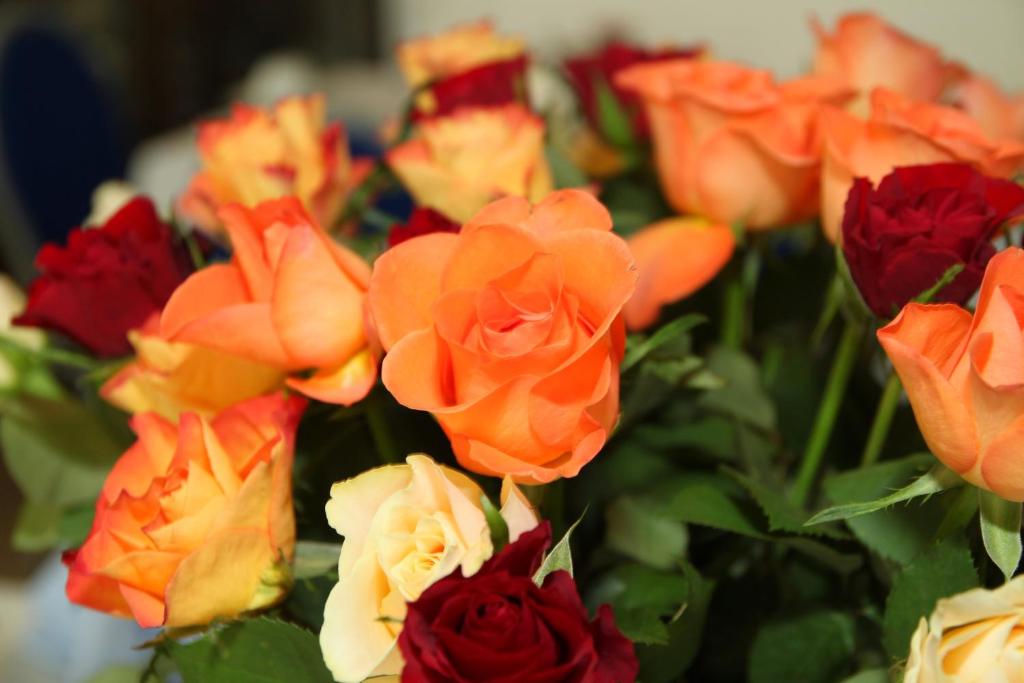 Hotel Moosbichl - Resim 10