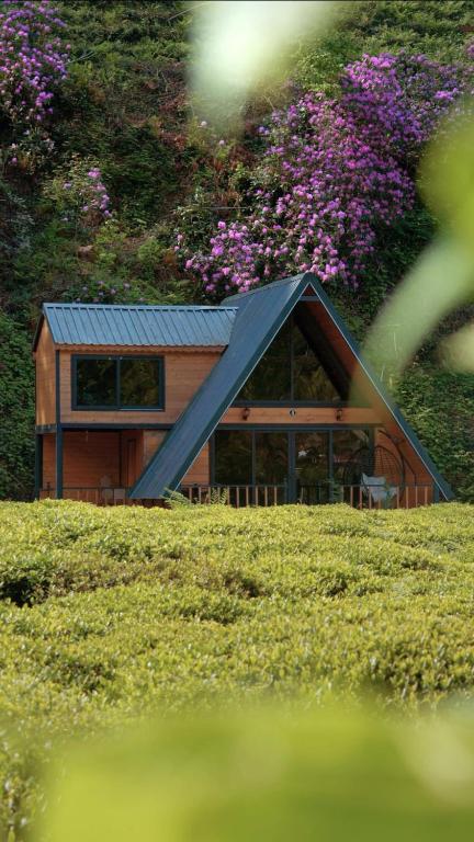 Zahrada ubytování Nesli Villa & Bungalow - Dubleks Bahçeli Villa