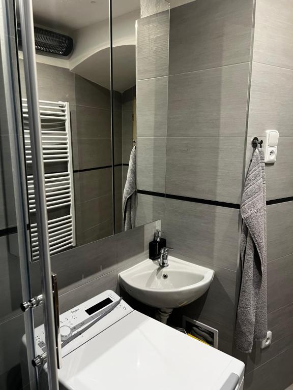 un bagno con lavandino e specchio di Útulný apartmán v historickém centru města Písek a Písek
