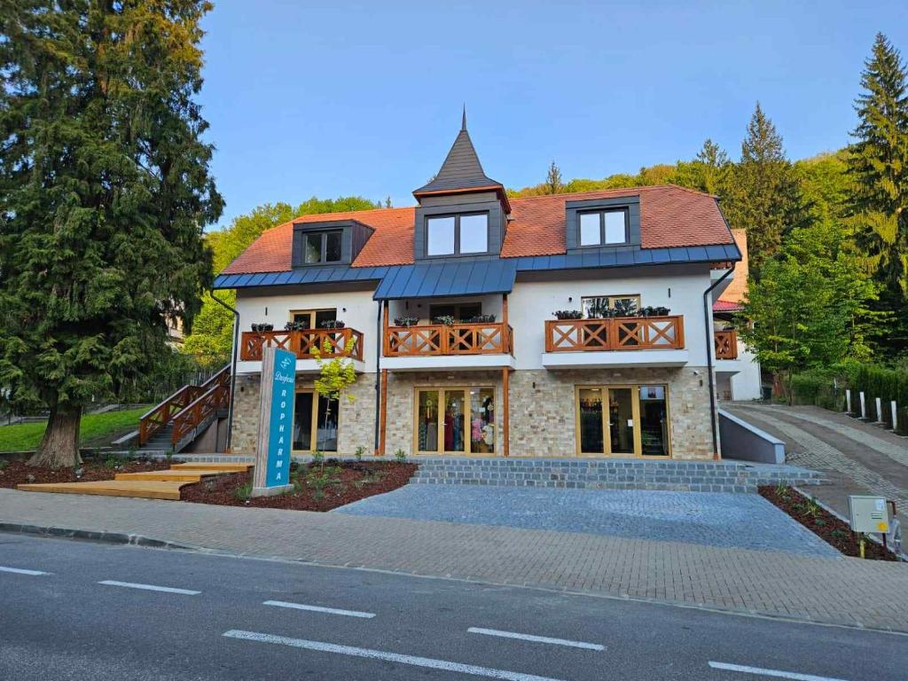 a large house with a red roof on a street at Vila Salt & Soul in Sovata