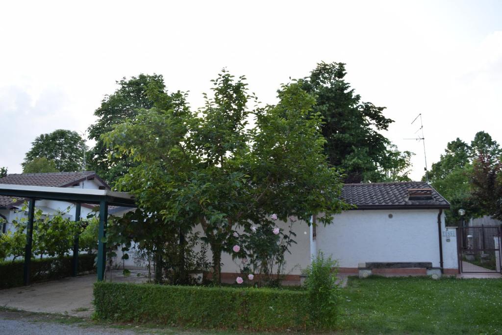 Zahrada ubytování Casa Barbara