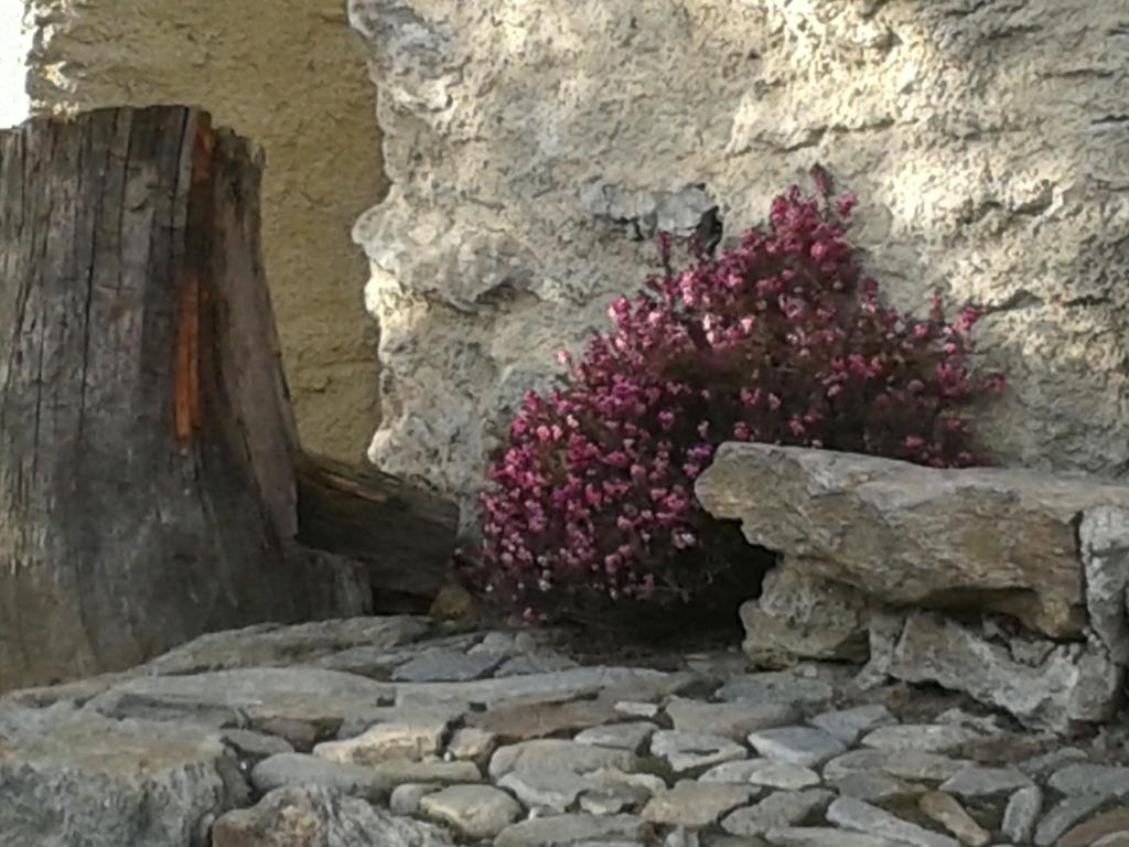 Ogród w obiekcie Casa Vacanze Roncaiola