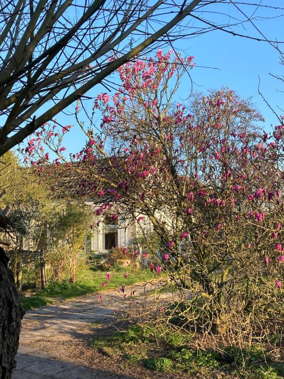 ein Baum mit rosa Blüten vor einem Haus in der Unterkunft Slowflower in Ophemert