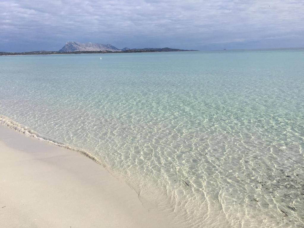 Afbeelding uit fotogalerij van Al FARO HOTEL , SPIAGGIA LA CINTA ,SAN TEODORO in San Teodoro