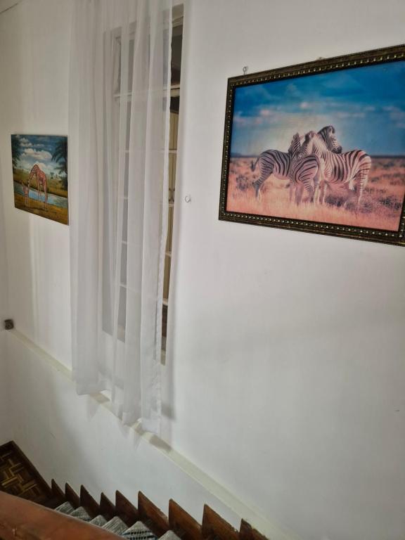 Fotografie z fotogalerie ubytování Teresita Home JKIA v destinaci Nairobi