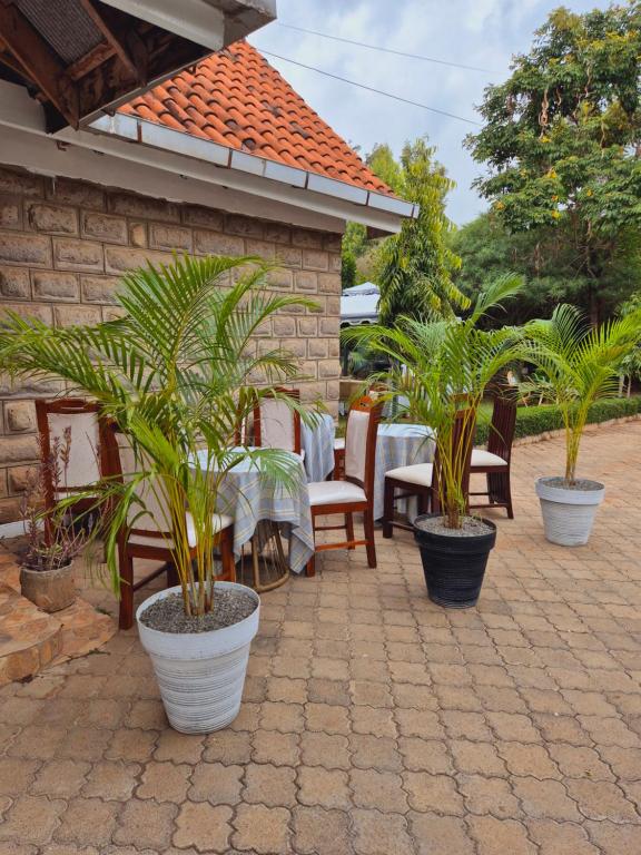 Zahrada ubytování Teresita Home JKIA