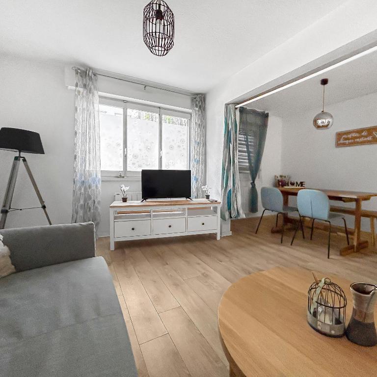 un salon avec un canapé, une télévision et une table dans l'établissement Appartement lumineux proche de la gare, à Strasbourg