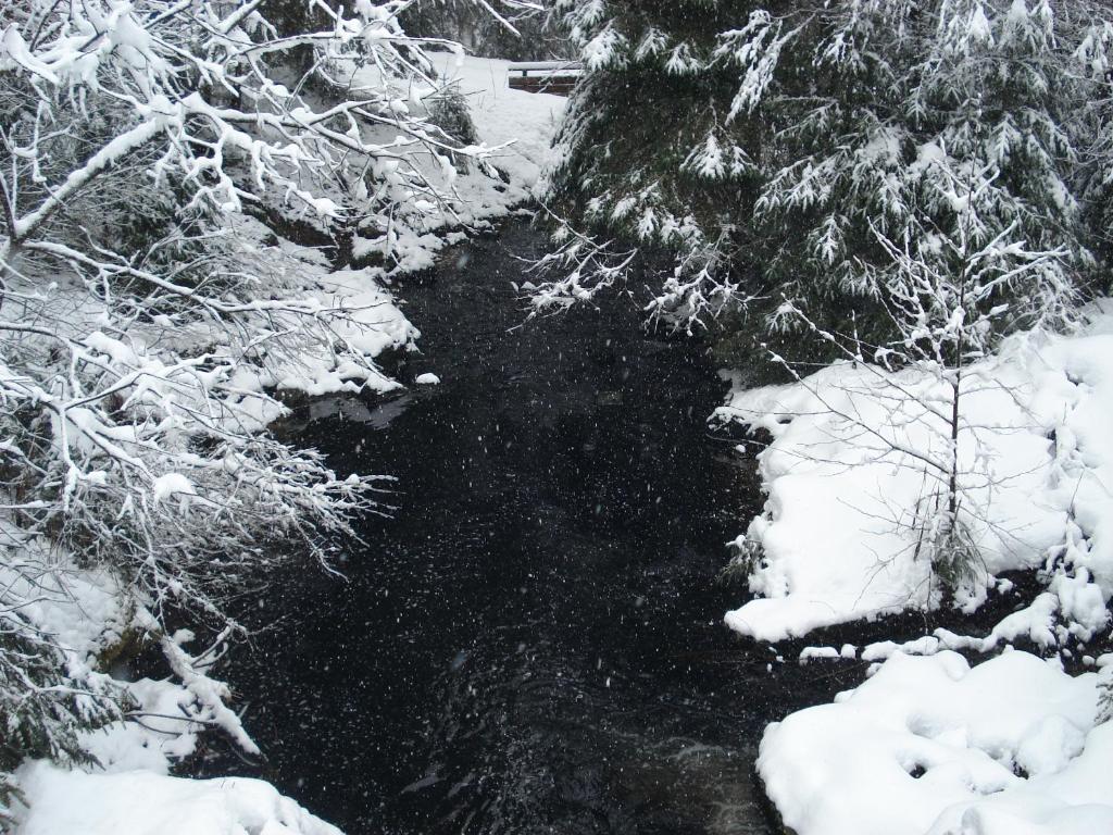 Domaine Des Hauts Viaux v zimě