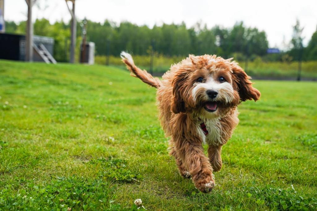 Moje Miejsce Kazimierz - 16