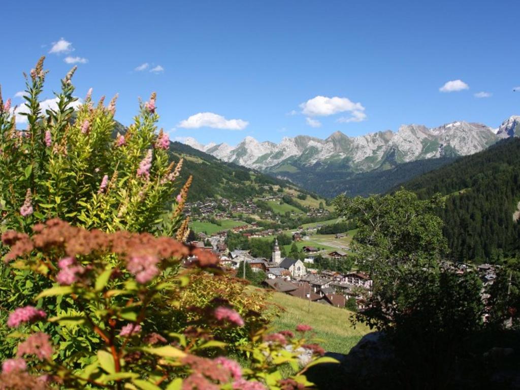 una vista di una valle con le montagne sullo sfondo di Studio montagnard avec balcon, vue montagnes et accès bien-être - FR-1-467-38 a Le Grand-Bornand