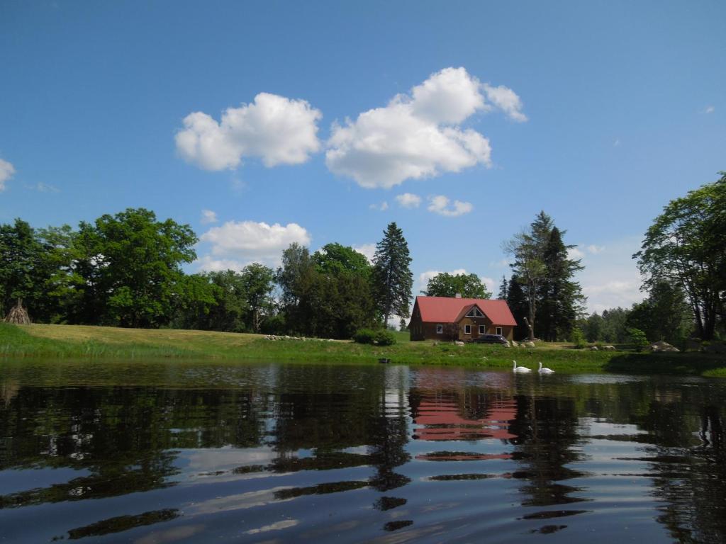 a house sitting on a hill next to a lake at Hinni Talu Puhkemaja in Mõksi