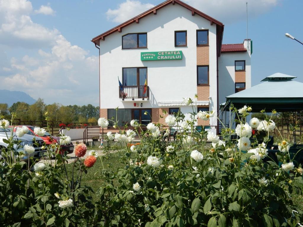 Zahrada ubytování Pensiunea Cetatea Craiului