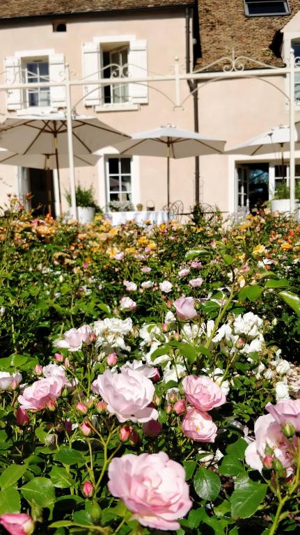 Zahrada ubytování Hôtel Le Clos