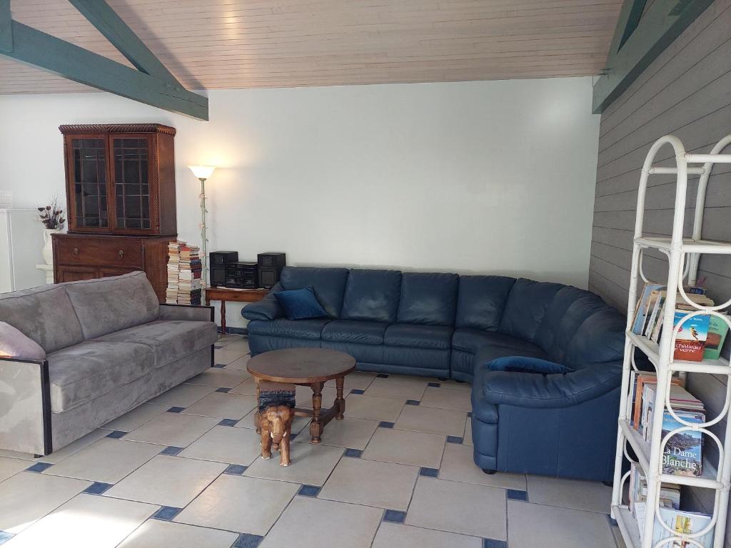 - un salon avec un canapé et un chien dans l'établissement sable gris maison d'architecte, à Andernos-les-Bains