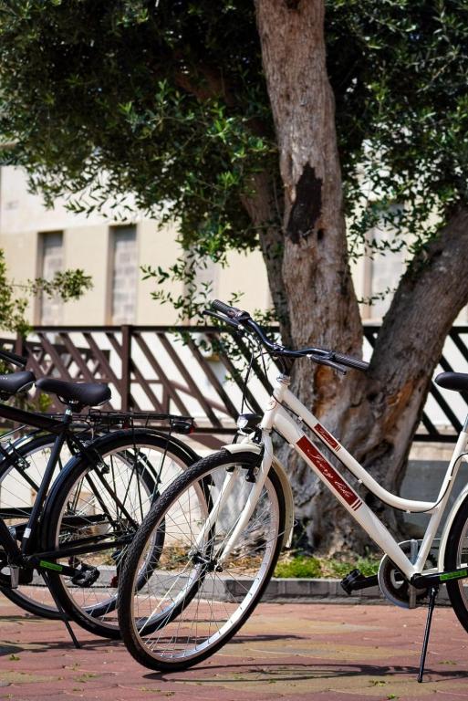 Jízda na kole v ubytování Hotel Bastione nebo okolí