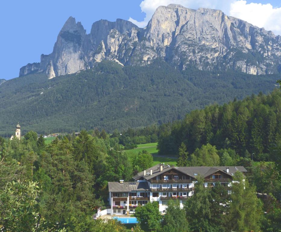 Příroda nedaleko hotelu