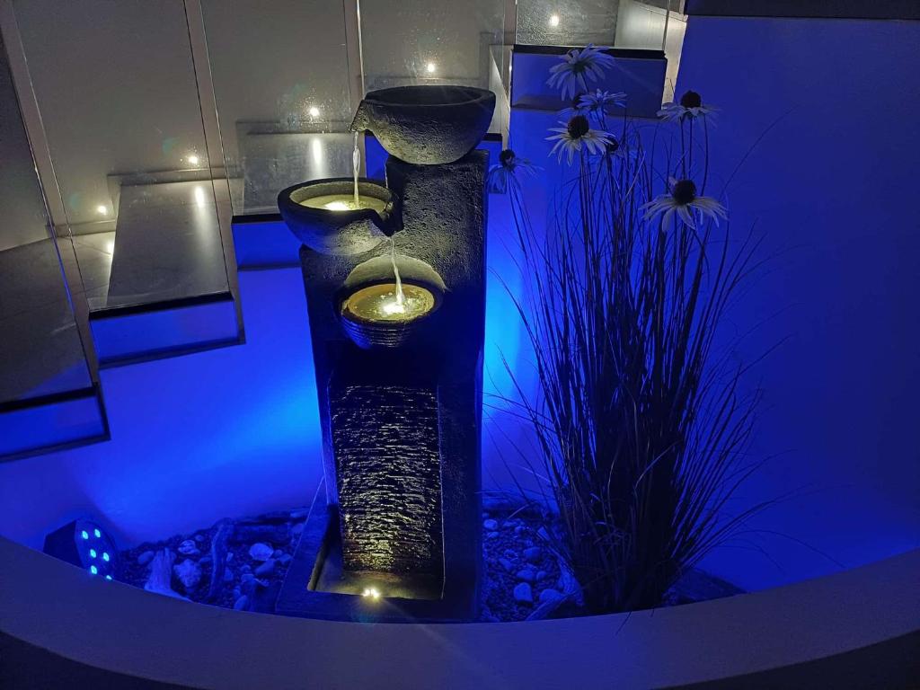 Fotografie z fotogalerie ubytování Hotel Anversa v Rimini