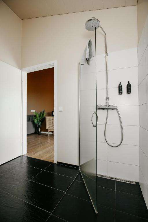 Koupelna v ubytování Guesthouse Fludir