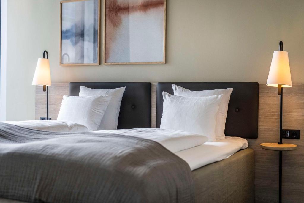 Scandic Spectrum - Resim 29