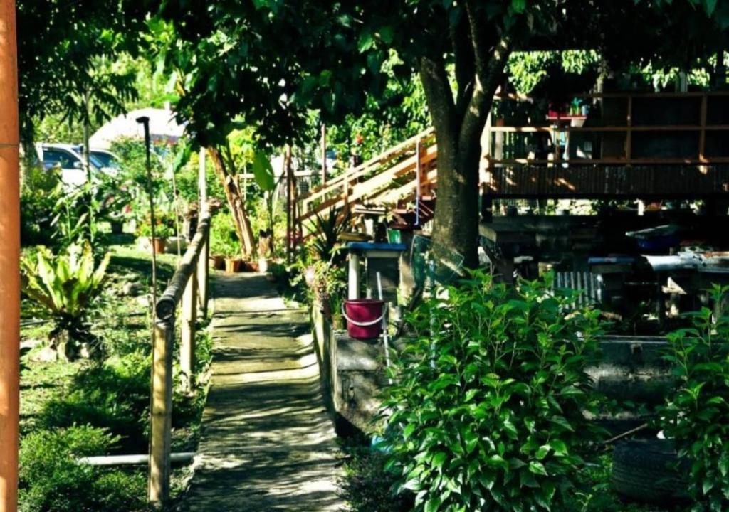 Zahrada ubytování Kinabalu Poring Vacation Lodge