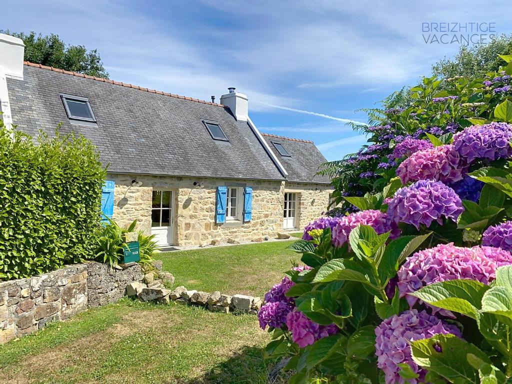 une maison en pierre avec des fenêtres bleues et des fleurs violettes dans l'établissement Penty Ty Gwen (Cap de la Chèvre), à Crozon