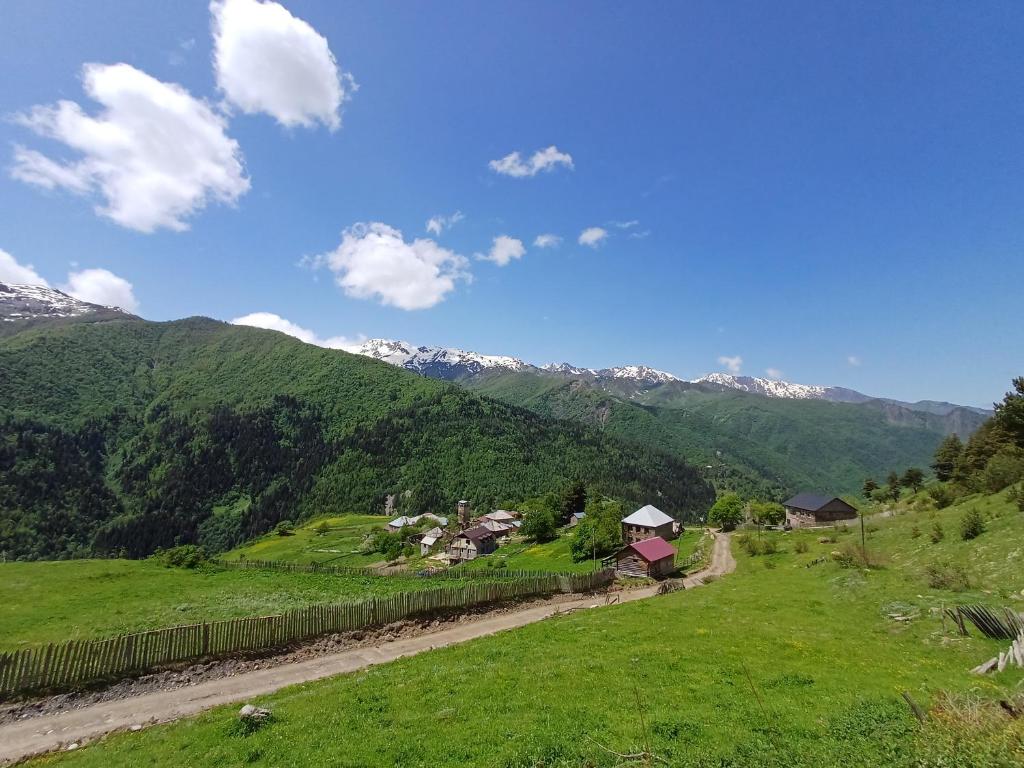 Příroda nedaleko apartmánu