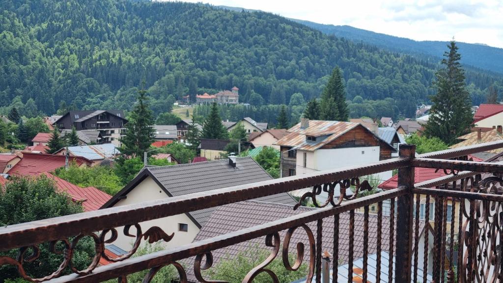 Příroda nedaleko hotelu