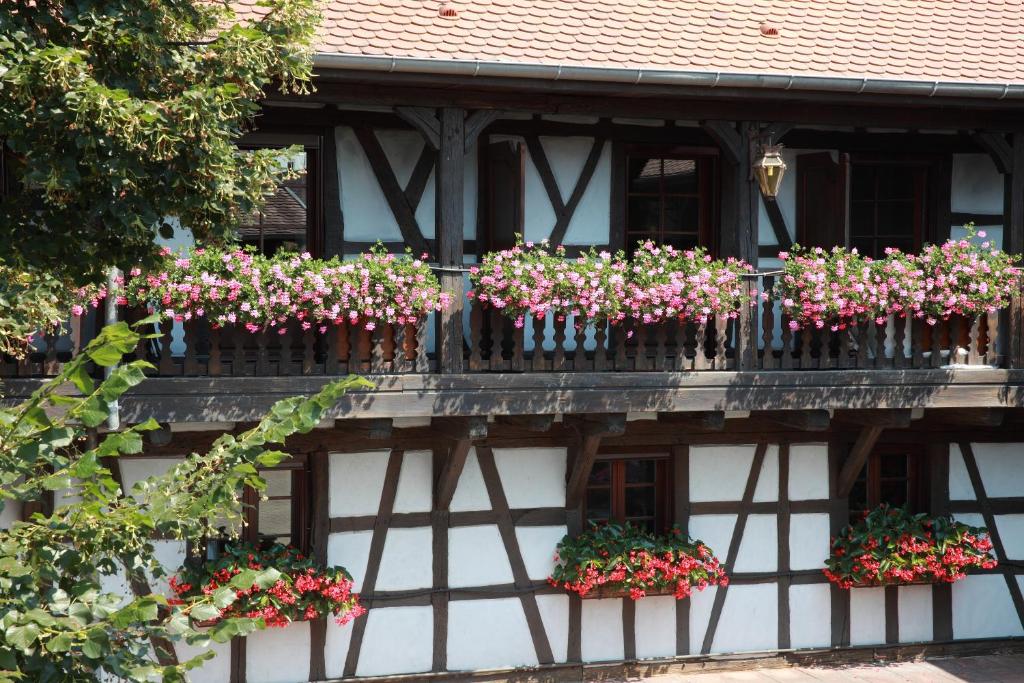Zahrada ubytování Hotel Restaurant Père Benoît