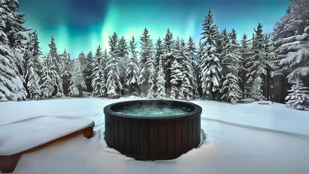 SKOG Aurora igloos v zimě