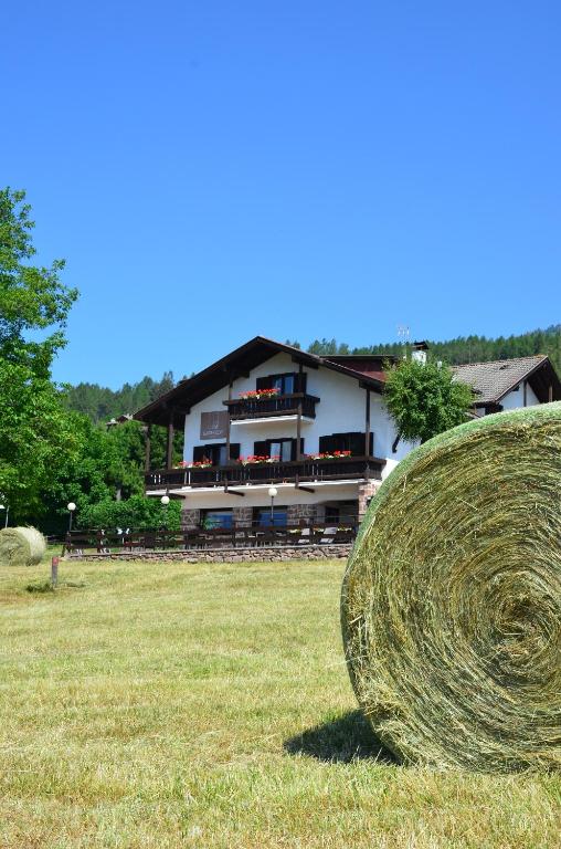 Příroda nedaleko hotelu