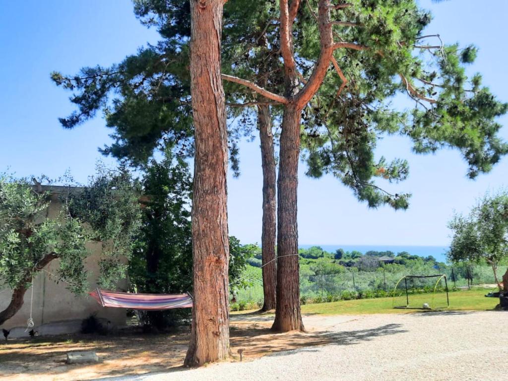 Φυσικό τοπίο κοντά σε αυτό το διαμέρισμα