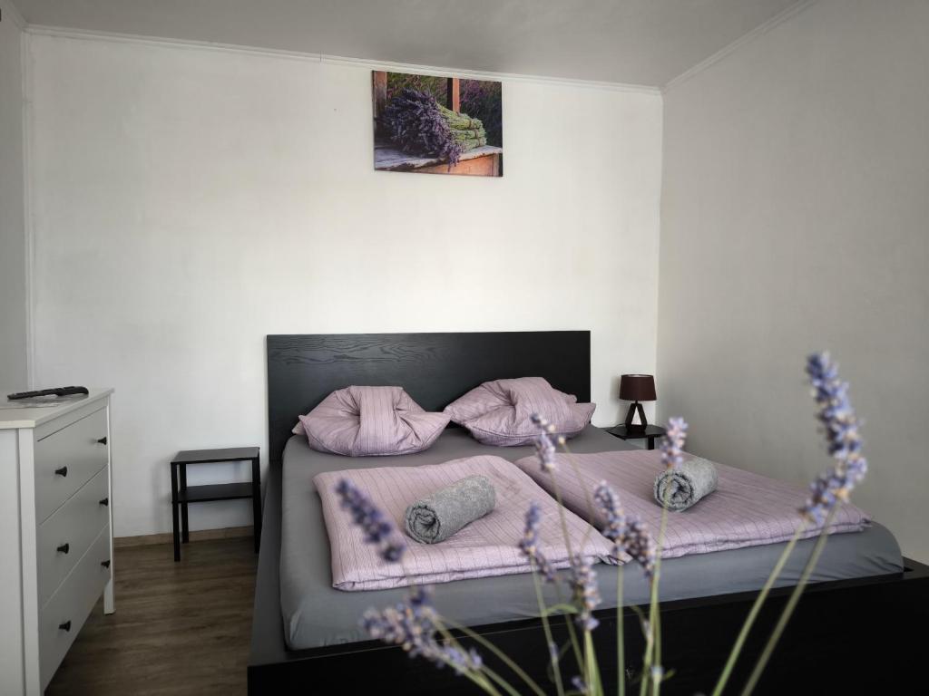 Postel nebo postele na pokoji v ubytování Penzion Levandule a Palava