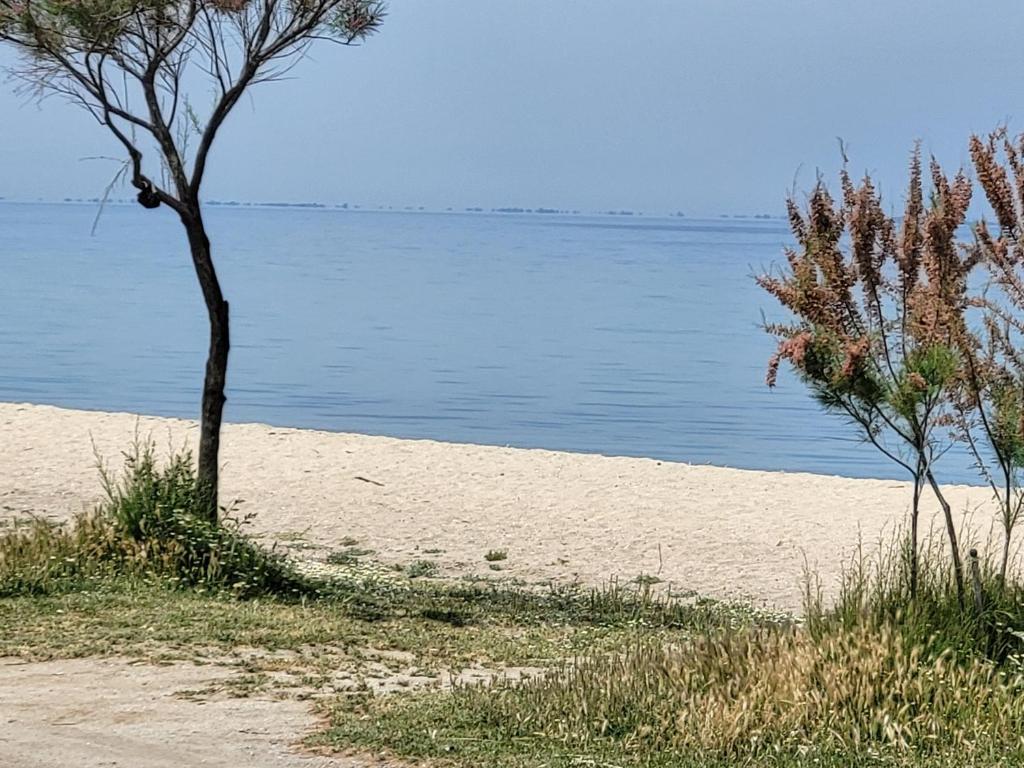 Príroda v okolí dovolenkového domu