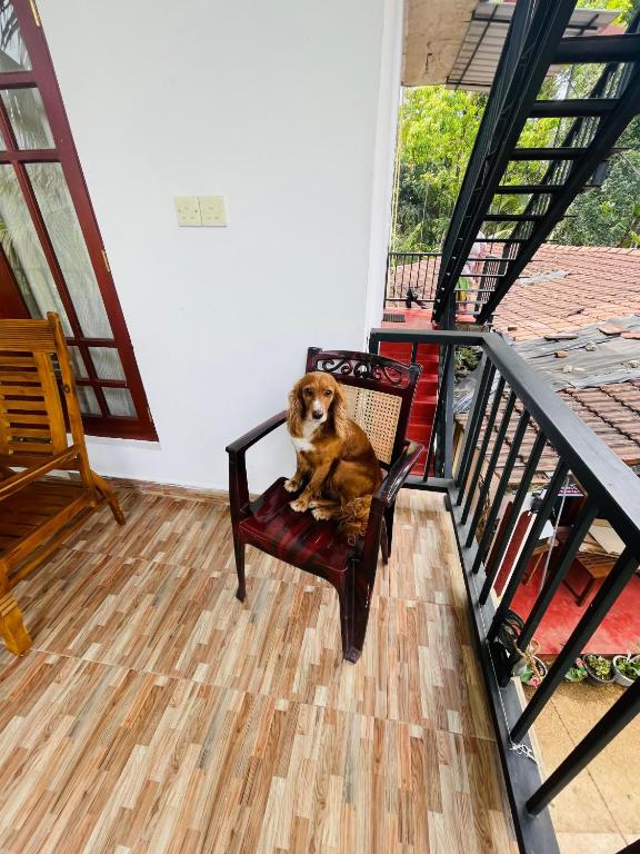 Ella Cloud Castle Homestay - 13