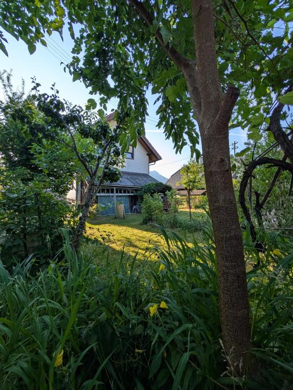 Zahrada ubytování Ferienhaus in der Schlipfing mit Garten