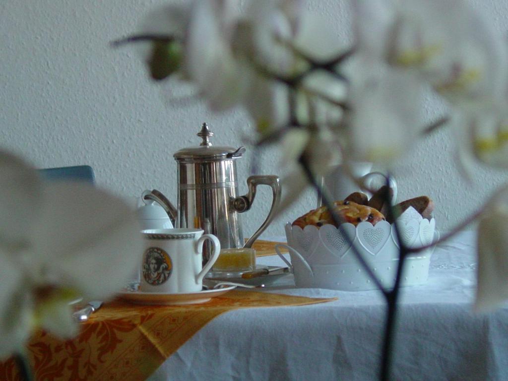 Alouette – photo 10