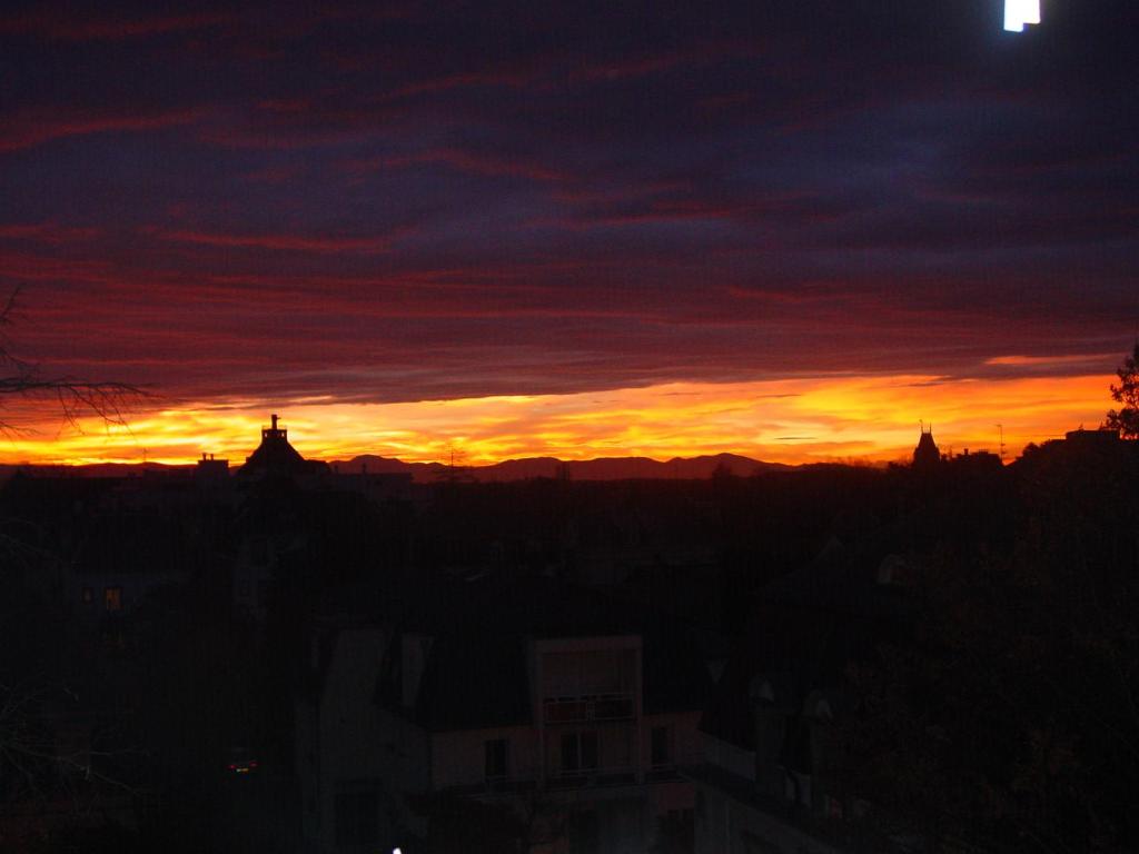 Alouette – photo 16