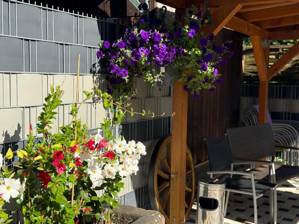 Ferienwohnungen Abendsonne - 8 Gehminuten zum EP - 19