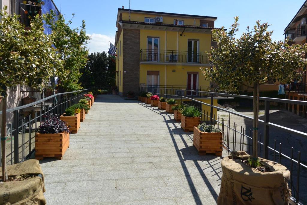 Pavia Ostello في بافيا: ممشى فيه نباتات خزف ومبنى اصفر