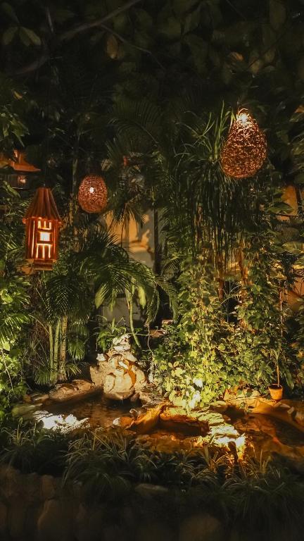 Hotel Casa Colibri photo